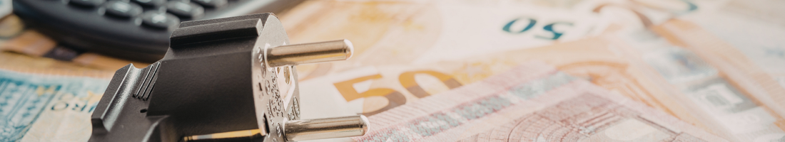 Évolution des Tarifs Réglementés de Vente d'Électricité au 1er février 2026